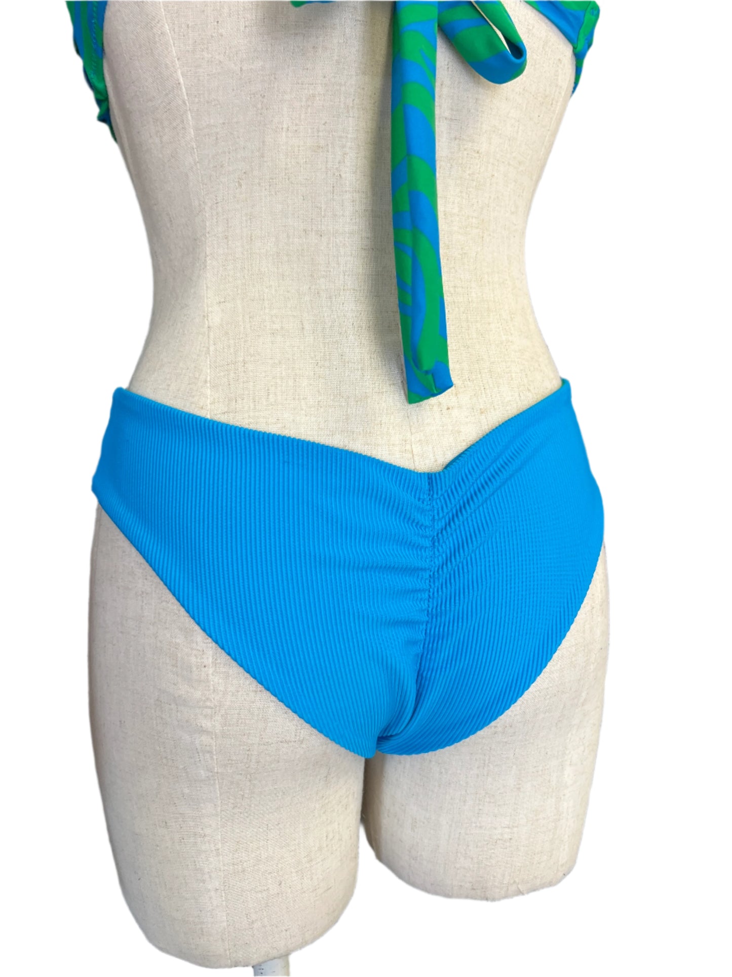 Blue Zebra Bikini